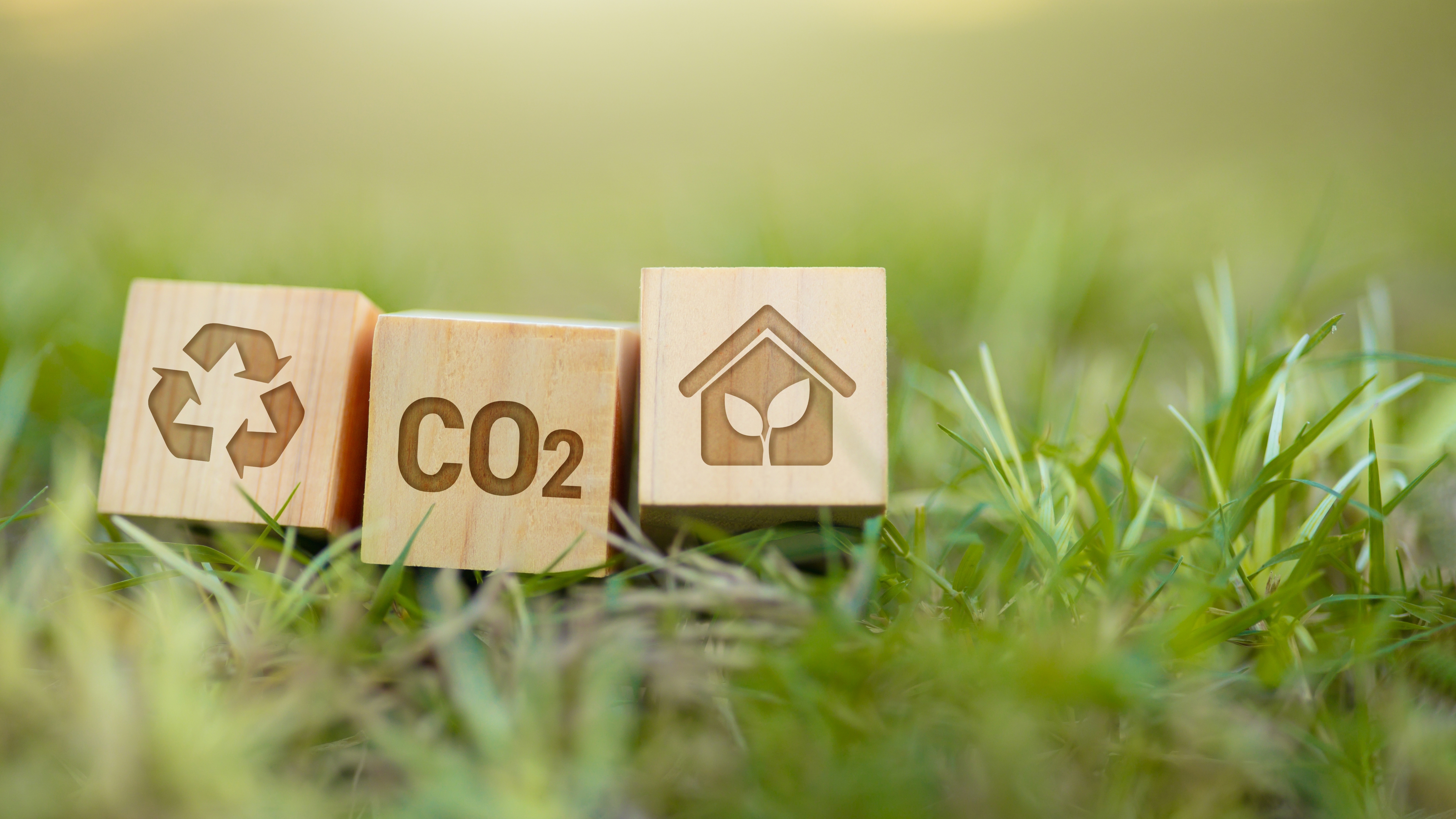 gruene Wiese mit Bausteinen zur Nachhaltigkeit