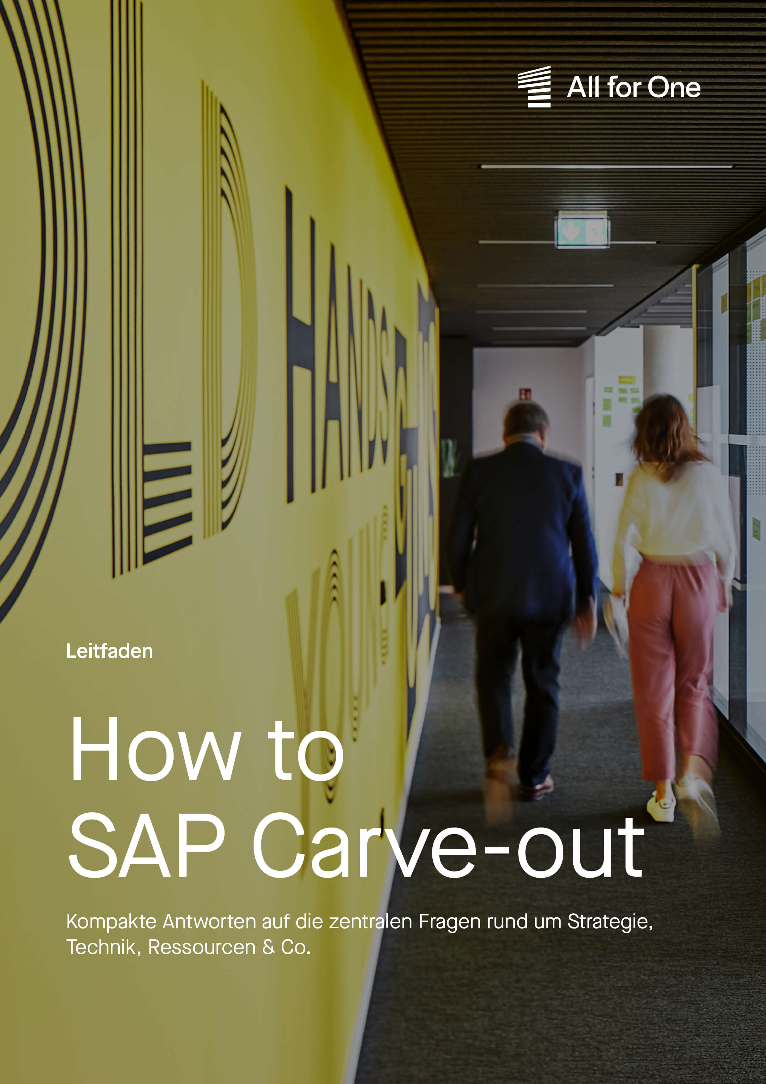 How to SAP Carve-out cover