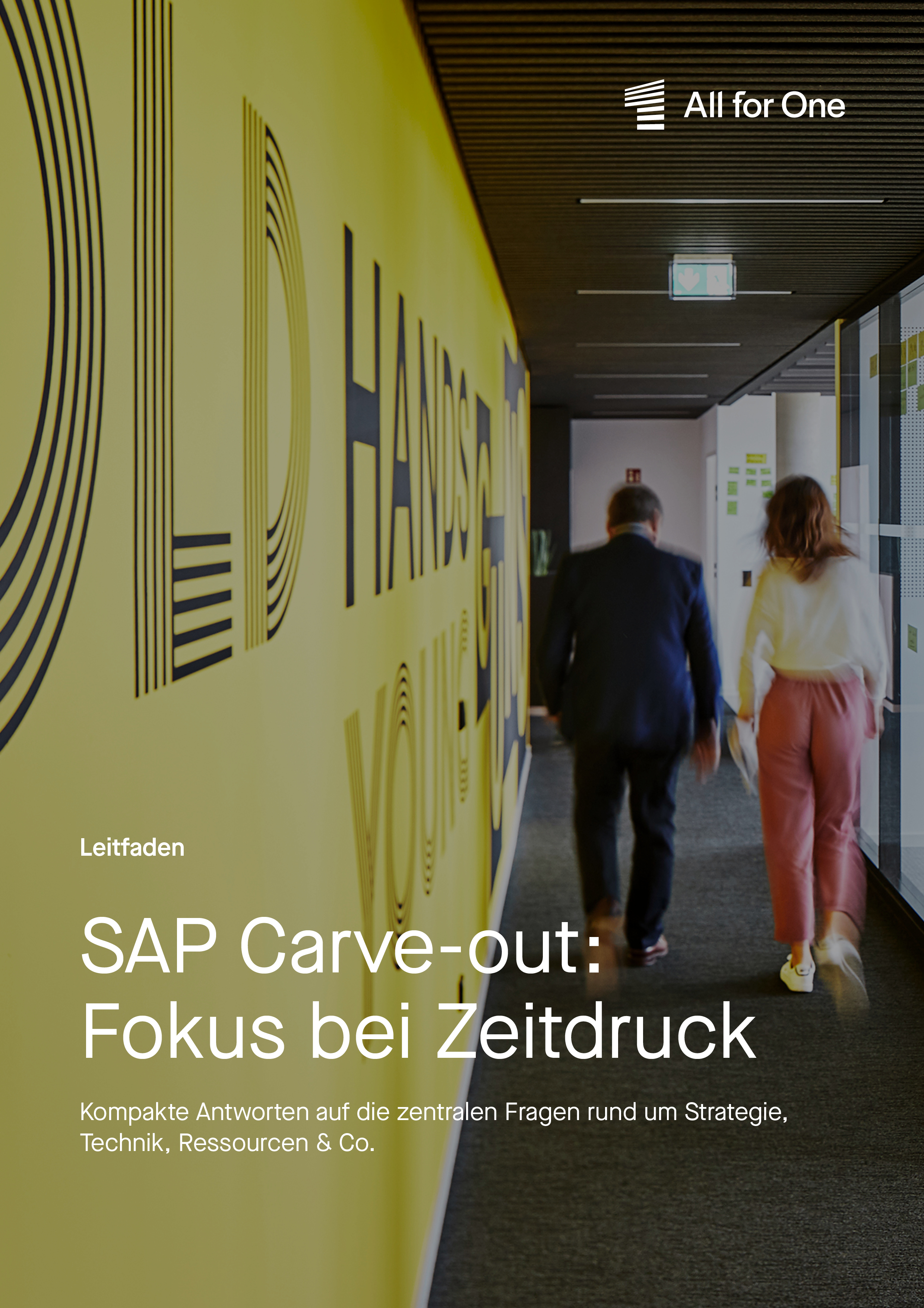 SAP Carve-out: Fokus bei Zeitdruck cover